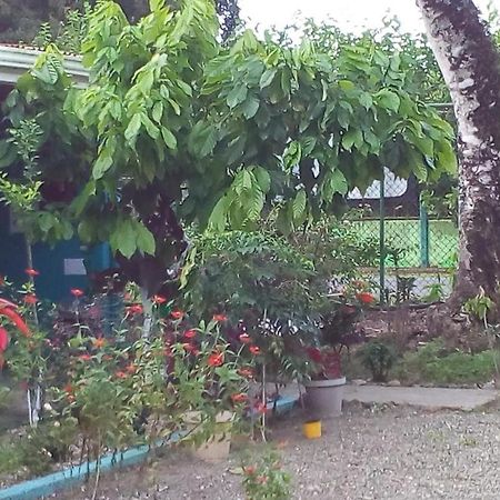 Cabinas Surf Side กาอุยตา ภายนอก รูปภาพ