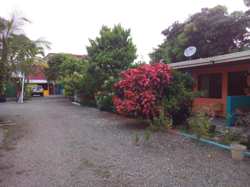 Cabinas Surf Side กาอุยตา ภายนอก รูปภาพ